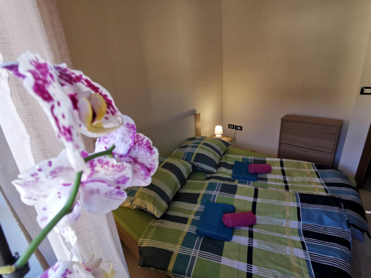 Haus Cataleya Apartman Umag Kültér fotó