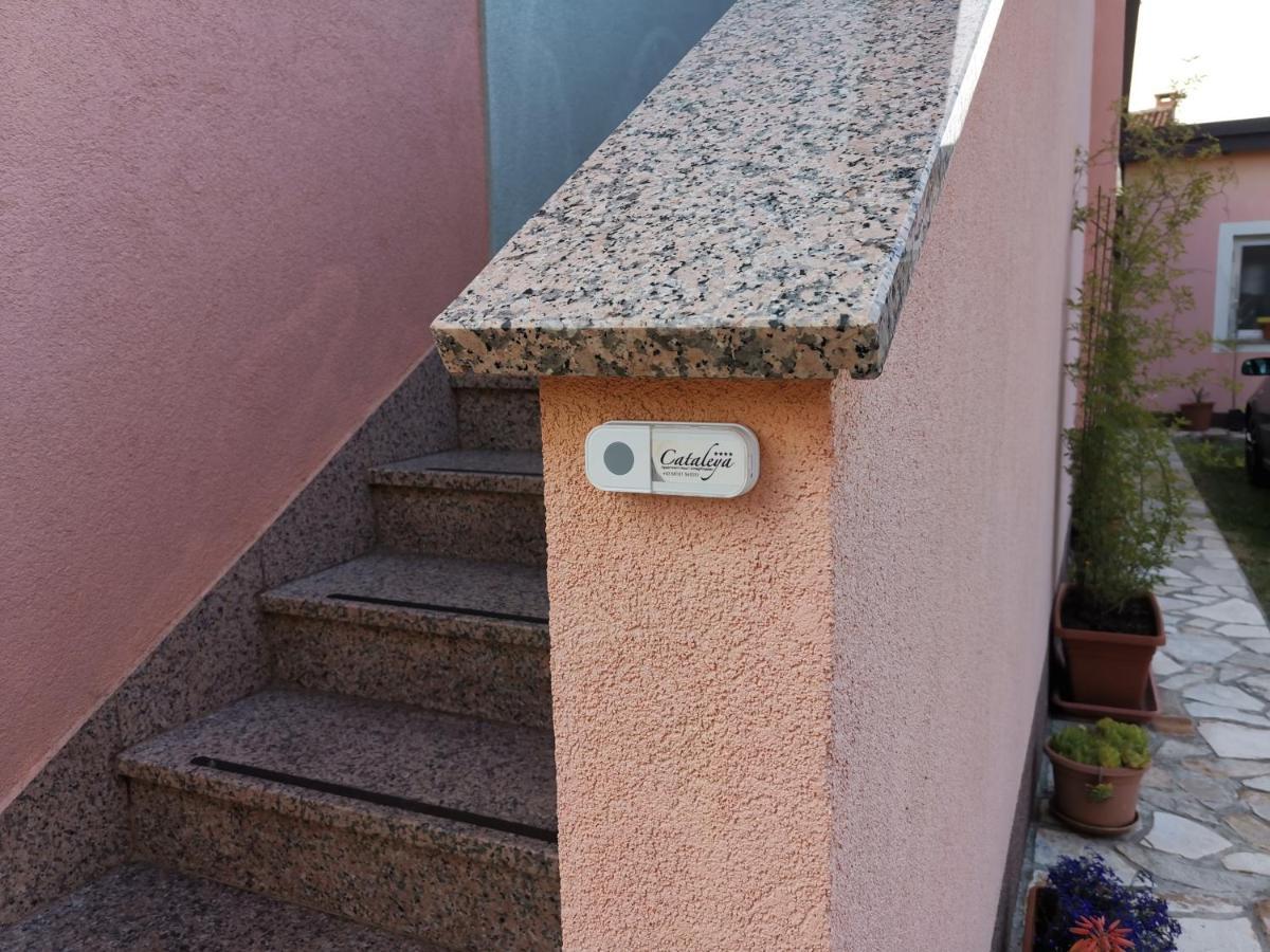 Haus Cataleya Apartman Umag Kültér fotó