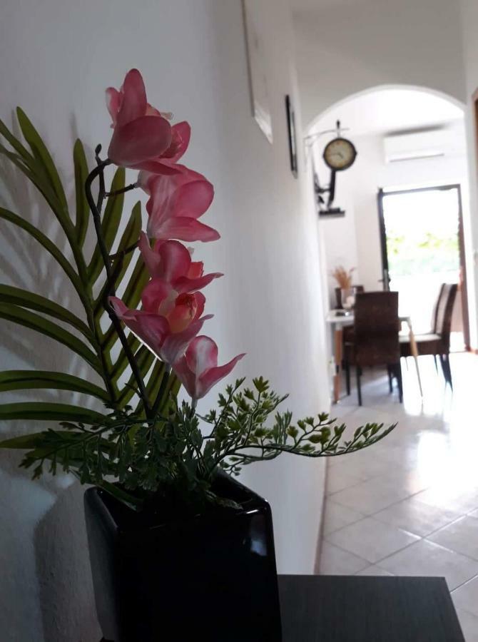 Haus Cataleya Apartman Umag Kültér fotó